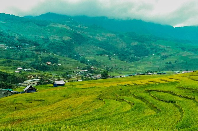 Rice Terraced Fields & Homestay Experience– 2D 1N - Price Check: Does $85 Really Make Sense Here?