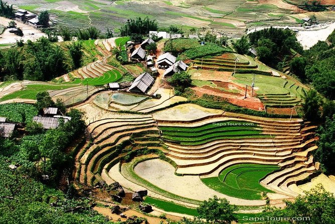 Round - Trip Hanoi - Sapa - Hanoi Private Vehicle Charter - Picking Your Departure, Then Letting the Car Do the Heavy Lifting