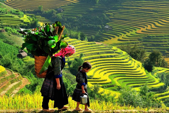Sa Pa 2-Day Moderate Trek and Homestay Limousine Tour from Hanoi - From Hanoi to Sa Pa, the Ride Sets the Tone
