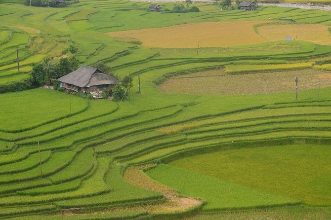 Sa Pa 2-Day Moderate Trek and Homestay Limousine Tour from Hanoi - How “Moderate” Really Plays on the Ground