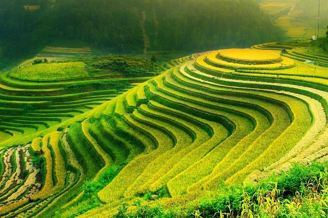 Sa Pa 2-Day Moderate Trek and Homestay Limousine Tour from Hanoi - A Homestay Night That Actually Feels Like Part of the Trip