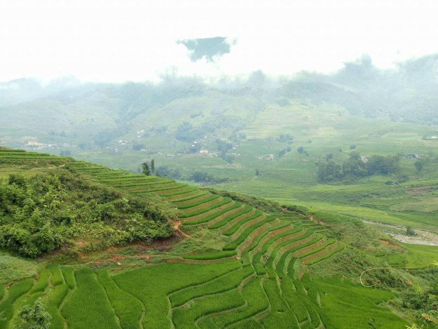 Sa Pa: 2-Day Trekking Trip with Ethnic Minority Homestay - Day 2: Bamboo forest, Giang Ta Chai, and the Muong Hoa River break