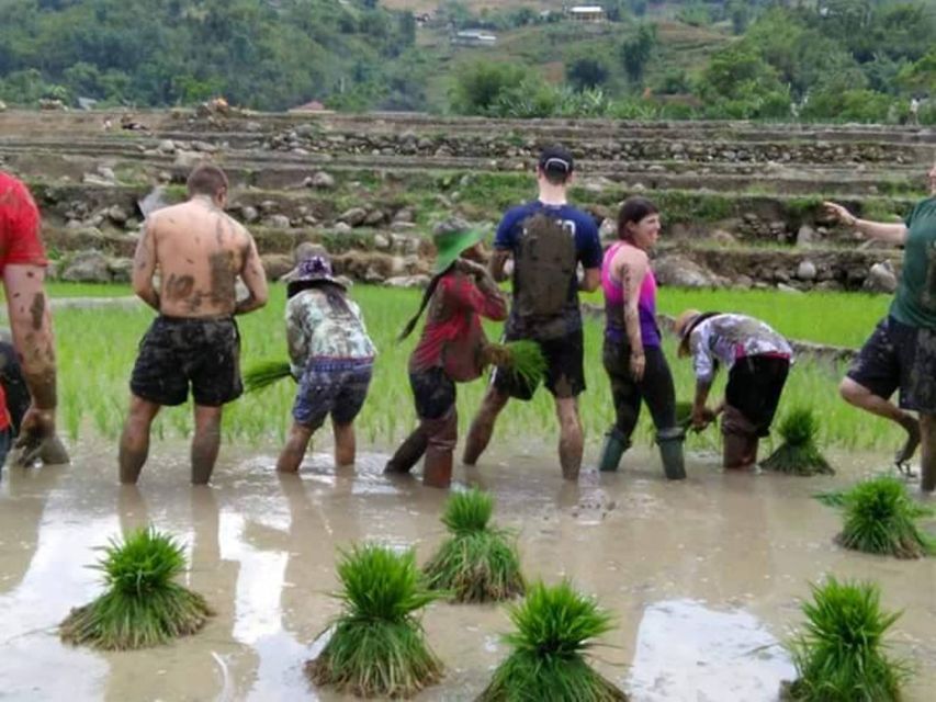 Sa Pa: 2-Day Trekking Trip with Ethnic Minority Homestay - Guides and small-group rhythm: the difference between okay and memorable