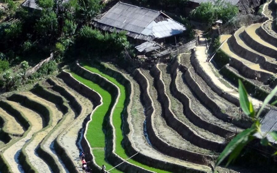 Sa Pa: 6-Hours Muong Hoa Valley Trek with Local Ethnic guide - Ta Van village homes: where weaving and rice skills show up