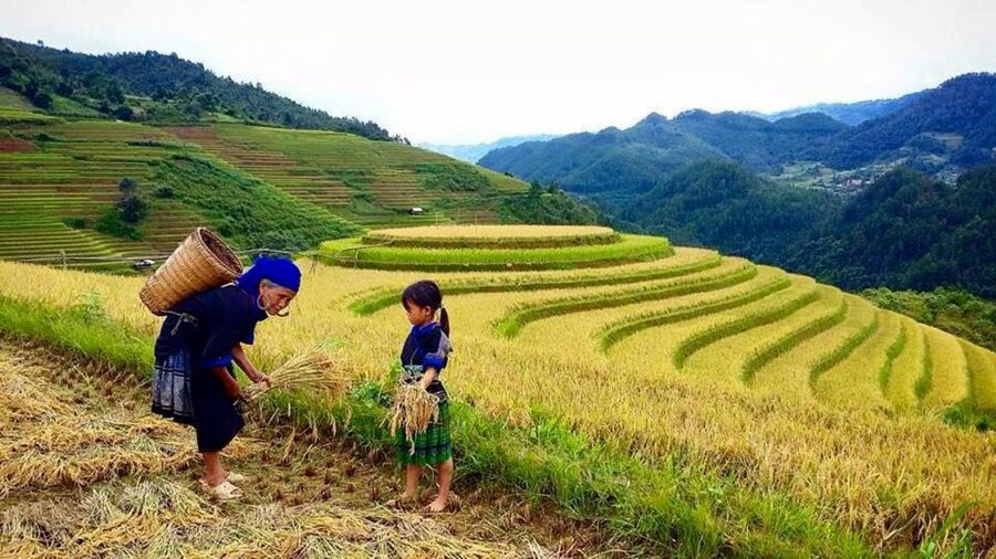 Sa Pa: 6-Hours Muong Hoa Valley Trek with Local Ethnic guide - Lunch reality: local food, and why sales can follow you