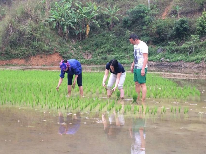 Sa Pa: 6-Hours Muong Hoa Valley Trek with Local Ethnic guide - Craft stops in Lao Chai: indigo dyeing, batik, hemp weaving