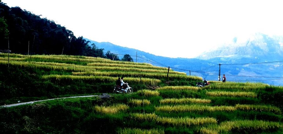 Sa Pa: Guided Motorbike Tour to Ethnic Villages with Lunch - FAQ