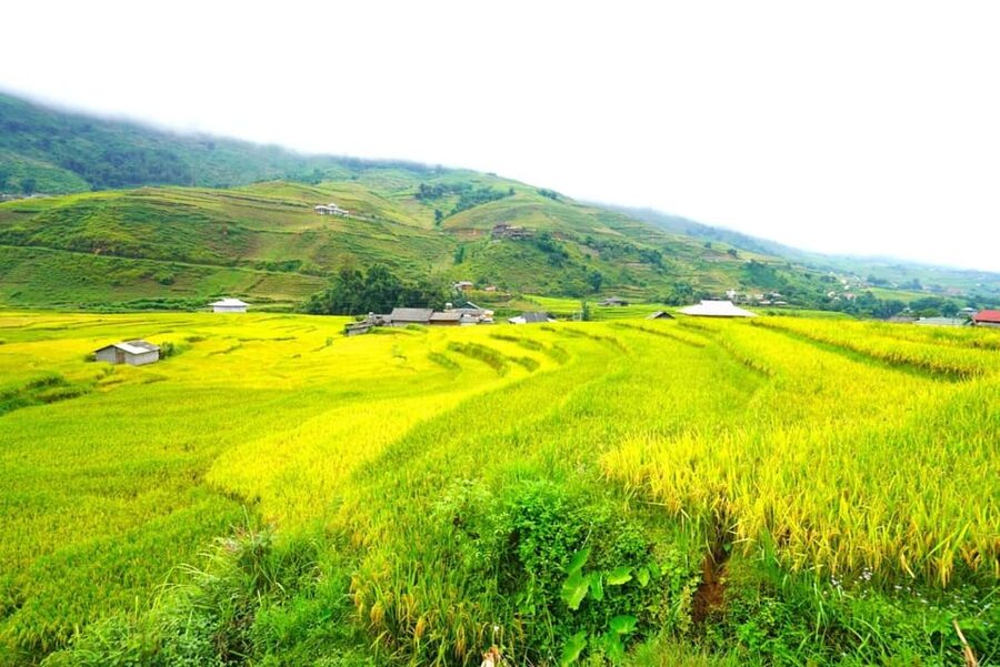 Sa Pa: Half-Day Cat Cat Village Hike to Meet H'mong People - Who this tour fits best in Sa Pa, and who should skip it