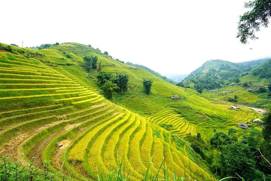 Sa Pa: Half-Day Cat Cat Village Hike to Meet H'mong People - What to bring, how to dress, and what not to do