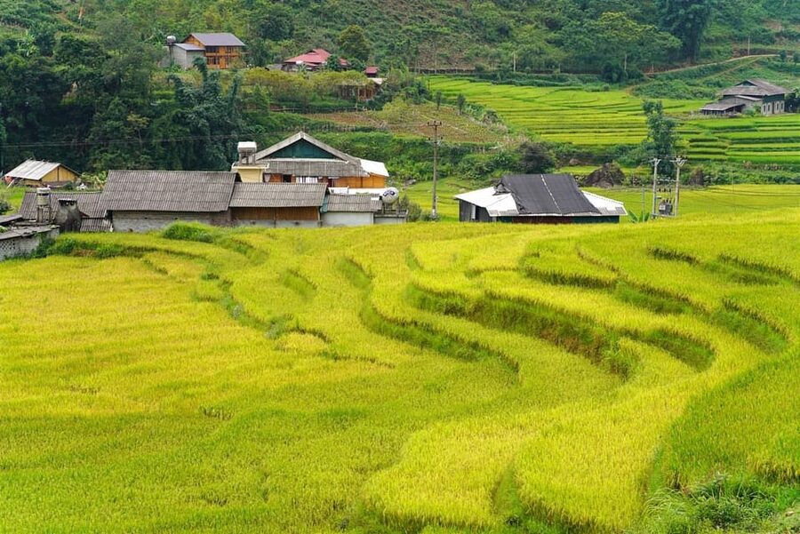 Sa Pa: Half-Day Cat Cat Village Hike to Meet H'mong People - The afternoon pickup and bus ride, what to watch for