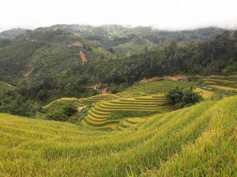 Sa Pa: Muong Hoa Valley Trek and Local Ethnic Villages - Key takeaways before you go