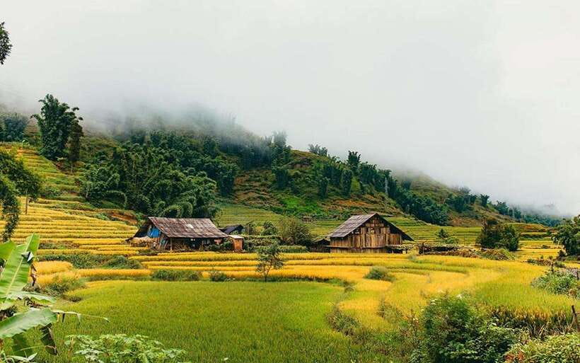 Sa Pa: Muong Hoa Valley Trek and Local Ethnic Villages - Who should do this trek, and who should skip it