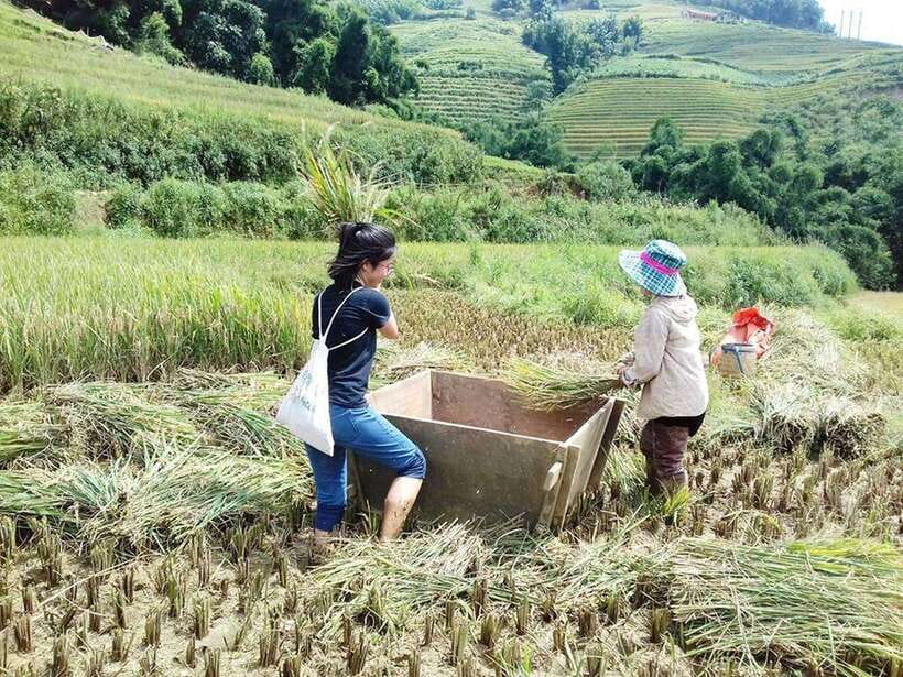 Sa Pa: Muong Hoa Valley Trek and Local Ethnic Villages - Muong Hoa Valley feels more personal than a bus tour