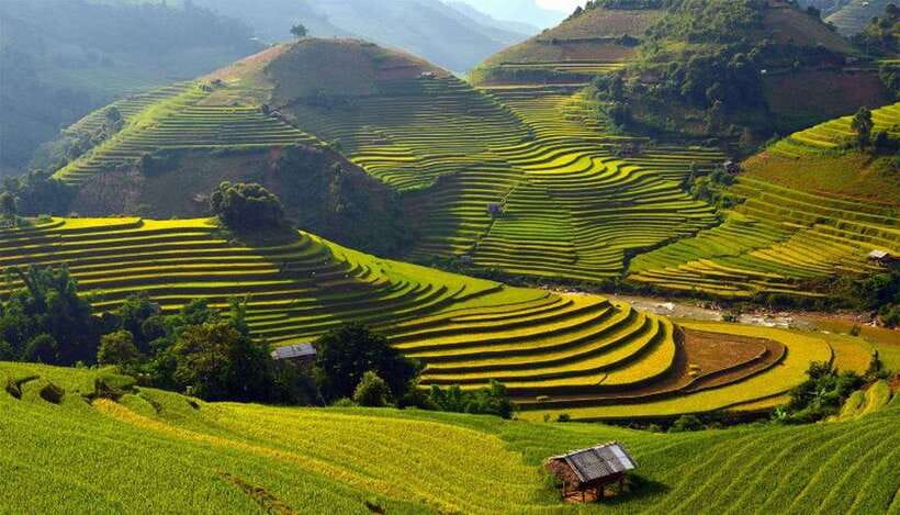 Sa Pa: Muong Hoa Valley Trek and Local Ethnic Villages - Rice terraces, Lao Chai, and what changes as you walk