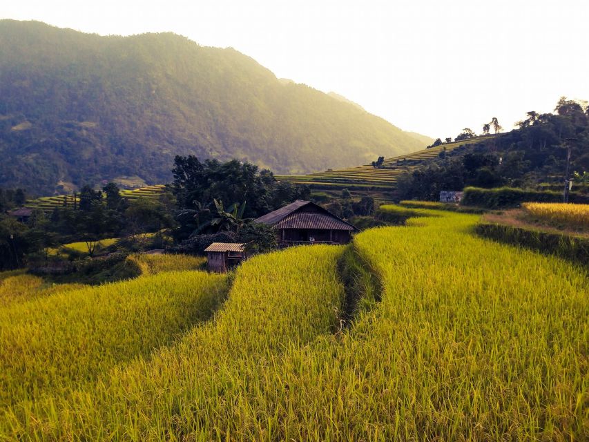 Sa Pa: Muong Hoa Valley Trek and Local Ethnic Villages - Ta Van Giay, the suspension bridge, and rock carvings