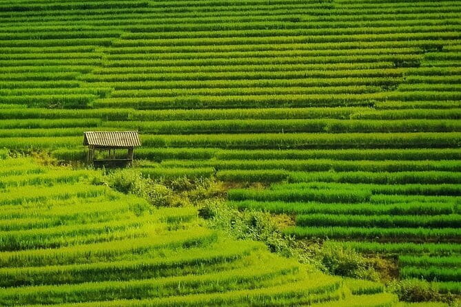 Sa Pa Trekking 2 Days 3 Nights Homestay by Night Train - Why the Hanoi to Lao Cai night train matters