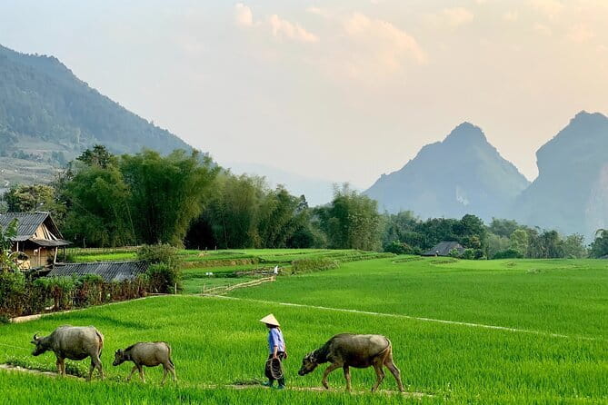 Sa Pa Trekking 2 Days 3 Nights Homestay by Night Train - Vega Travel setup: luggage, shower, and not feeling rushed
