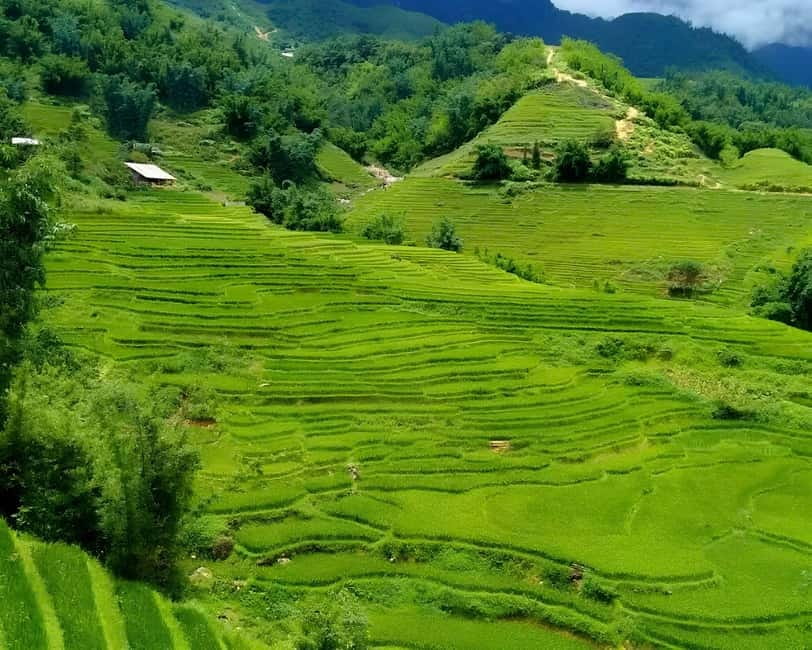 Sapa 1 Day Long Trek: Trek to Hau Thao and Sa Seng Villages - Hang Da Village: Black Hmong life, plus animals on the trail
