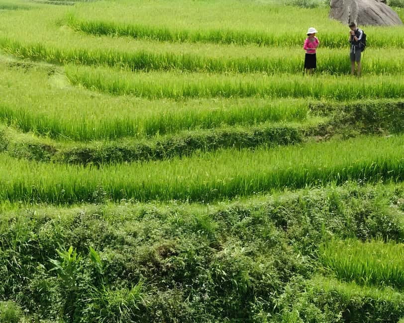 Sapa 1 Day Long Trek: Trek to Hau Thao and Sa Seng Villages - The included lunch at a family-run restaurant