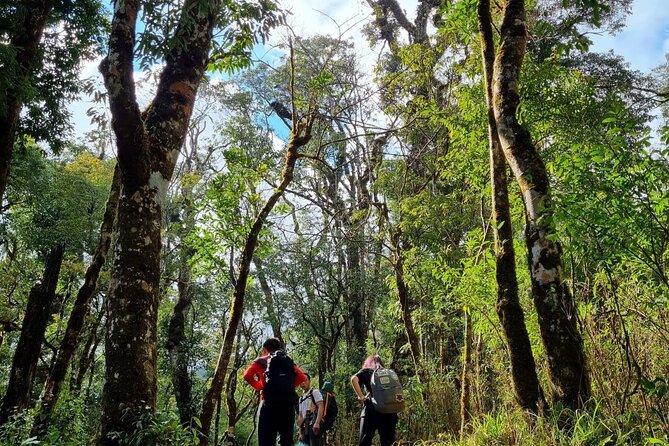 Sapa 1 day trek with local guide to the village by Comlam - Why This Sapa One-Day Trek to Tả Van Fits Real Travel Time