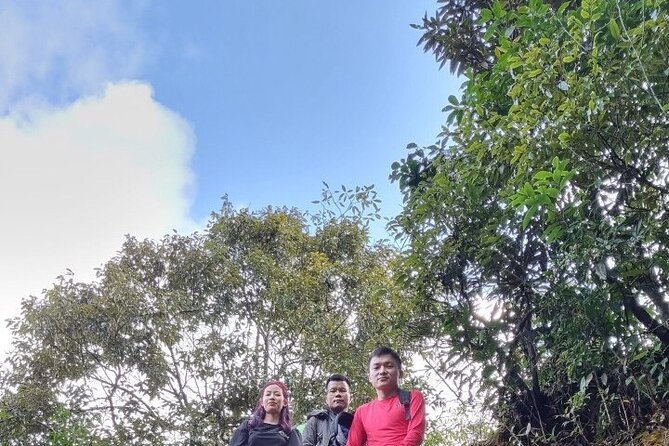 Sapa 1 day trek with local guide to the village by Comlam - 9am Hotel Pickup, Then Down Toward Muong Hoa Valley