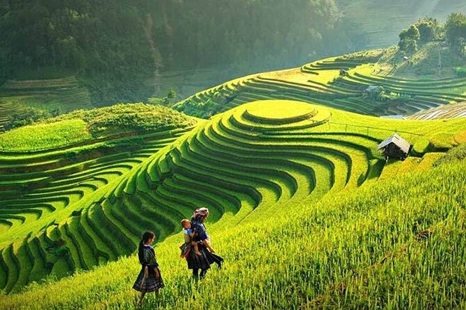 Sapa 1 Day Trekking - Pickup, Mobile Ticket, and Getting to the Start Without Stress