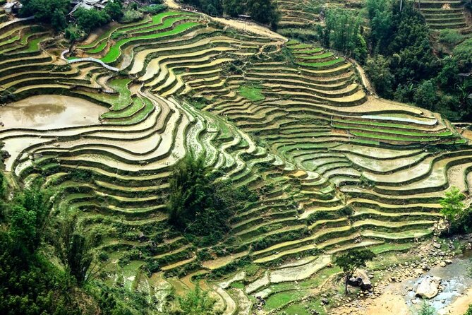 Sapa 1 Day Trekking - Guides Who Adjust the Day to You, Not the Other Way Around