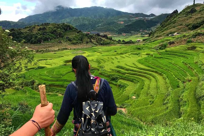 Sapa 1 Day Trekking Tours - Giang Ta Chai Village Loop for a Busy Village Day