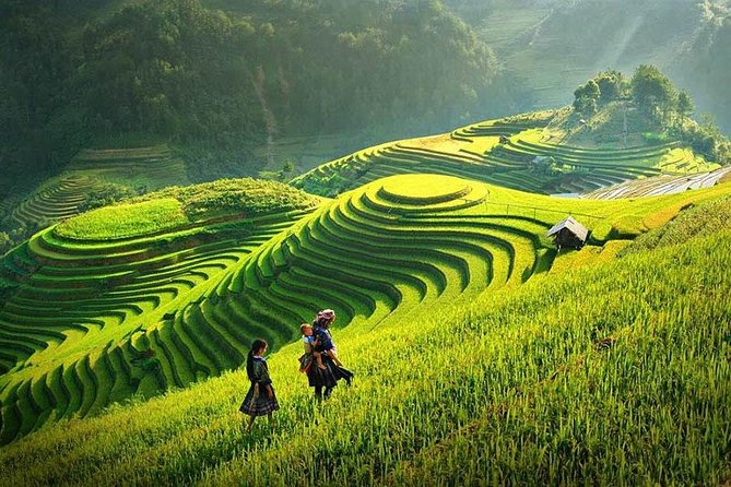 Sapa 2 Days 1 Night Bac Ha Market Tour (Overnight In Hotel) - What you eat and where you sleep: hotel in Sapa, meals handled