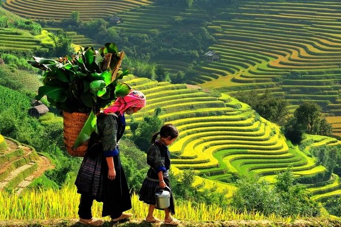 Sapa 2 Days 1 Night From Hanoi - Overnight in Hotel - Price and value: is $89 a good deal for this itinerary?
