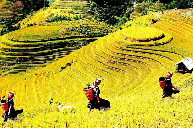 Sapa 2 Days Trek with 1 Night Homestay - Key Things That Make This Sapa Trek Work