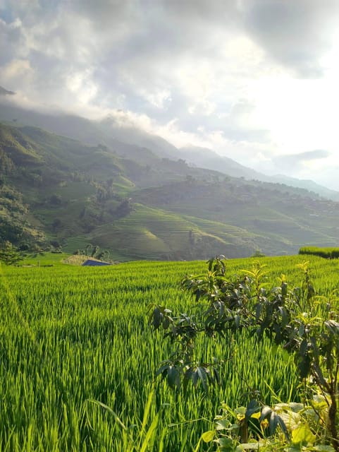SAPA: 2 DAYS Walking & 1 night at Homestay with LOCAL GUIDE - Homestay Life in a Black Hmong Home, Food, and Room Comfort