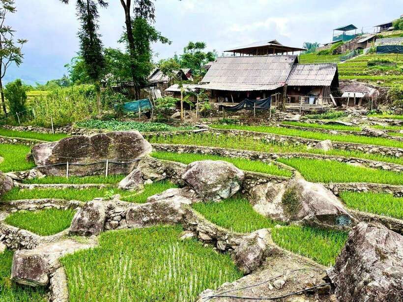 SAPA: 2 DAYS Walking & 1 night at Homestay with LOCAL GUIDE - Price and Value: What $46 Includes and Why It Feels Reasonable