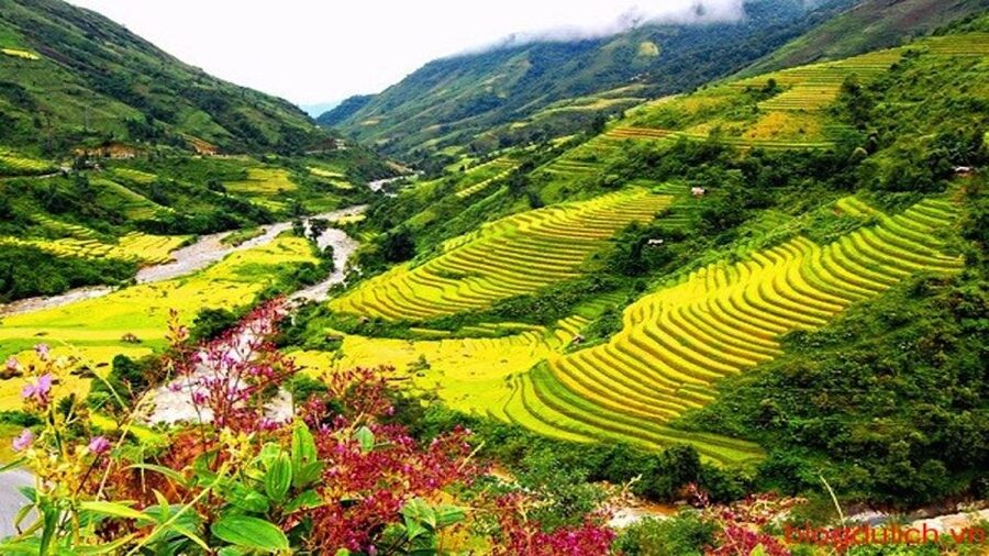 Sapa: 3-Day, 3-Night Trek and Hotel with Overnight Train - Who should book this Sapa trek, and who should think twice