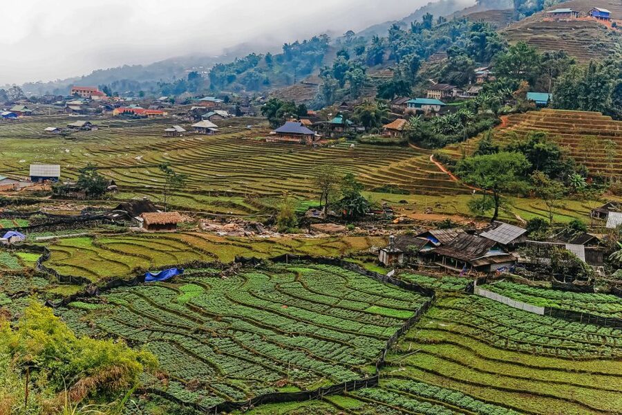 Sapa: 3-Day, 3-Night Trek and Hotel with Overnight Train - Overnight train from Hanoi to Lao Cai, the part that shapes your whole trip