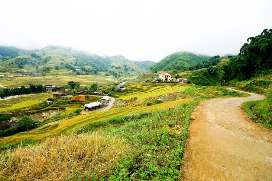 Sapa: 3-Day, 3-Night Trek and Hotel with Overnight Train - Day 2: Muong Hoa Valley to Y Linh Ho, Lao Chai, then Ta Van (Zay homestay)