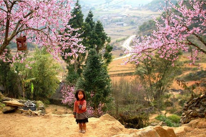 Sapa 3 Days 2 Nights Bac Ha Market From Ha Noi - Hotel in Sapa Lodge and how luggage logistics change the trip