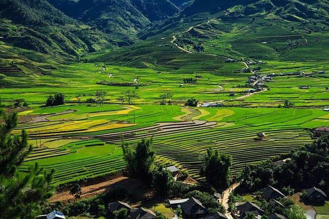 Sapa 3 Days 2 Nights Trekking Tour (1 Night In Ta Van Village, 1 Night In Hotel) - Day 2 Rice Terraces to Y Linh Ho and Lunch With Families
