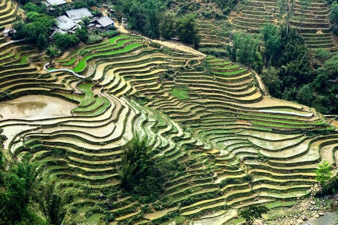 Sapa 3 Days Trek with 2 Nights Homestay - Homestay life: what “two nights included” really means
