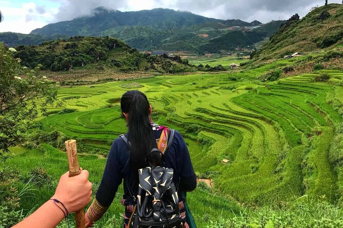 Sapa 3 Days Trek with 2 Nights Homestay - Price and value: $196.16 that includes the stuff you usually pay for