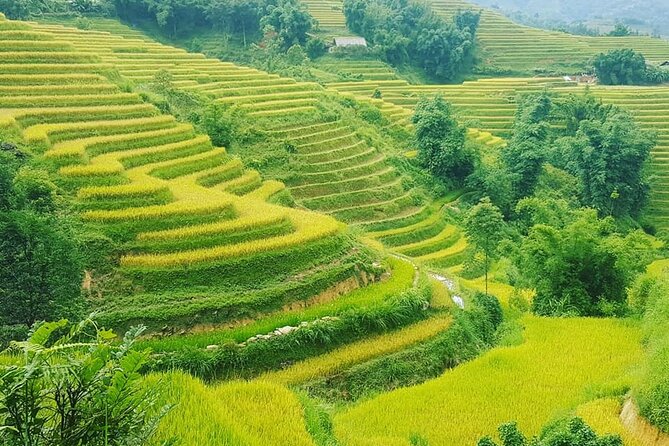 Sapa 3 Days Trekking Tour (1 Night in Bungalow, 1 Night In Hotel) - Comfort, pacing, and what to pack for the homestay night