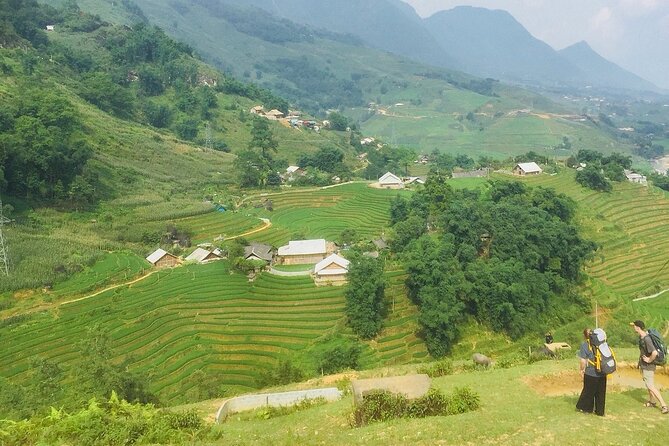 Sapa 3 Days Trekking Tour (1 Night in Bungalow, 1 Night In Hotel) - Who this Sapa tour suits best, and who might prefer another plan