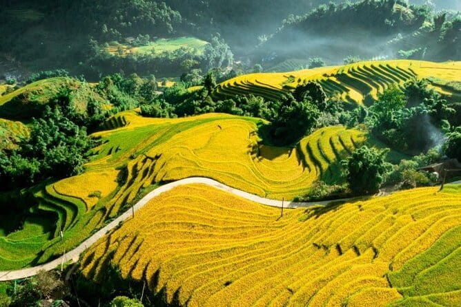 Sapa Adventure Motorbike Tour With Local Guide - Stop 4: Muong Hoa Valley, stream time, and optional swim moment
