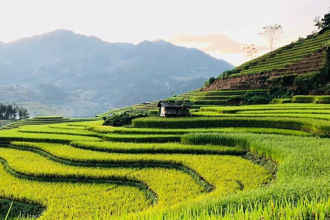 Sapa Adventure Motorbike Tour With Local Guide - Lunch and the real value of the included price