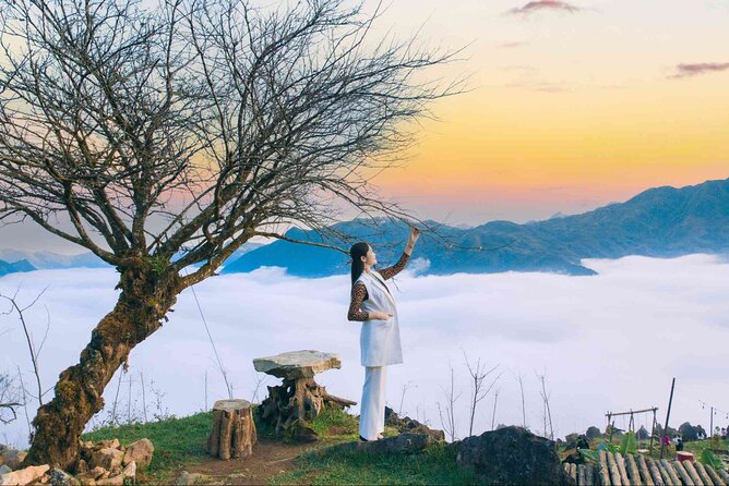 Sapa Alpine Coaster and Sightseeing Experience - Best View Sapa: Hoàng Liên Sơn panoramas and a complimentary drink