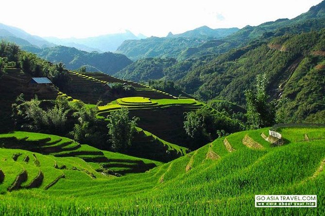 Sapa - Bac Ha Trek Tour - Night Train & Bus & Homestay overnight - Comfort, packing, and weather in Sapa (including fog and rain reality)