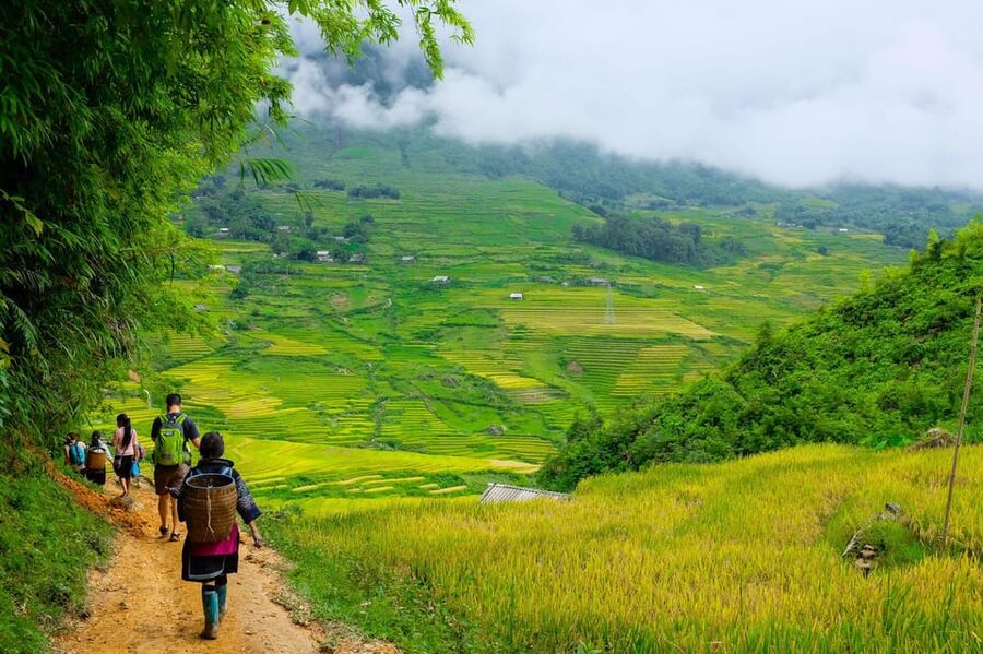 Sapa beautiful rice field, village - Easy walking kid,senior - Key highlights at a glance