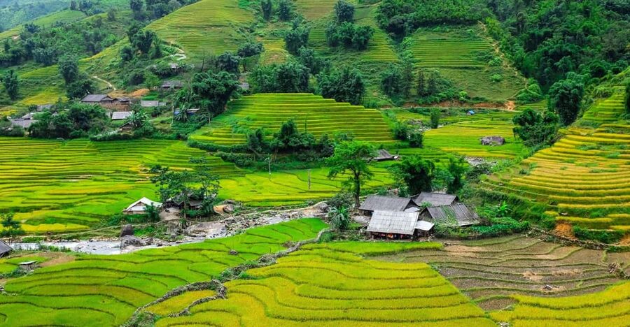 Sapa beautiful rice field, village - Easy walking kid,senior - Rice terraces plus ethnic villages, without the hard-core hiking