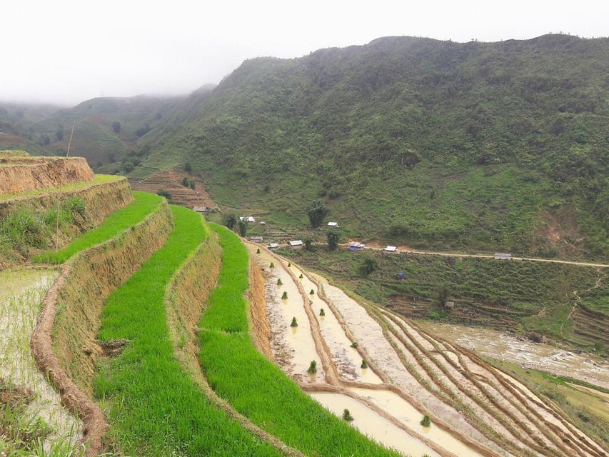Sapa beautiful rice field, village - Easy walking kid,senior - Lunch with a valley view, then a bamboo-and-plateau stretch