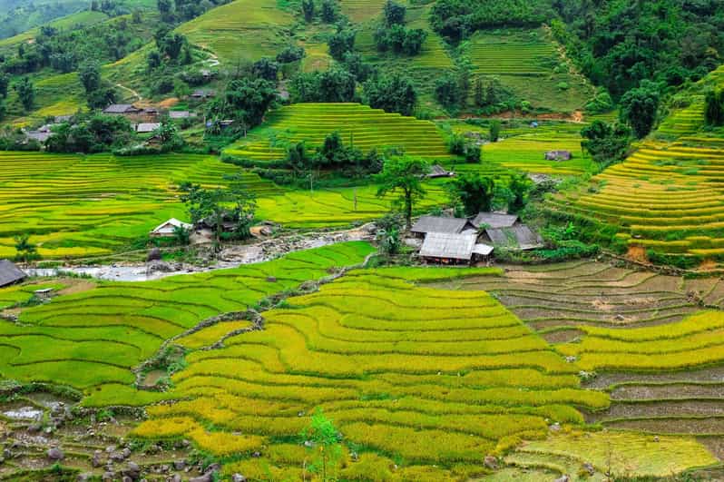 Sapa beautiful rice field, village - Easy walking kid,senior - How easy is it really for kids and seniors?